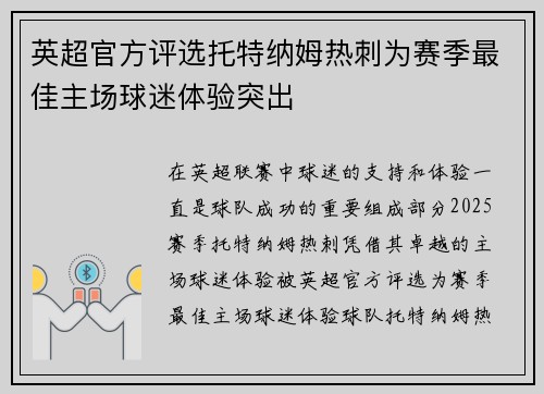 英超官方评选托特纳姆热刺为赛季最佳主场球迷体验突出